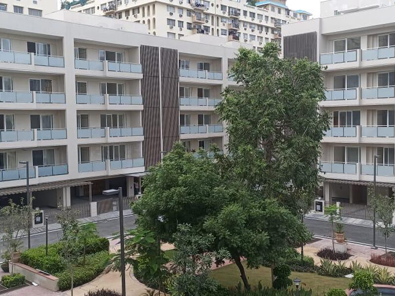 DLF City Floors