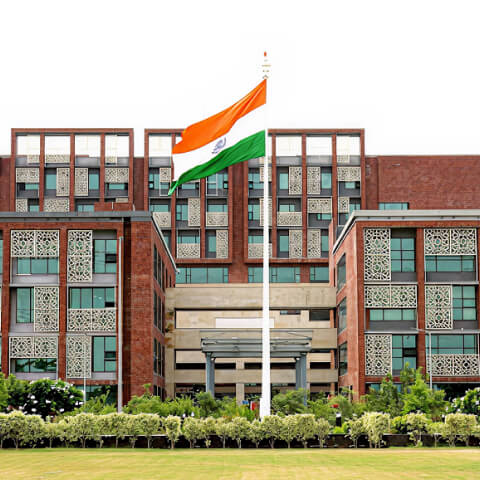 Institute